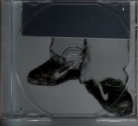 Everything But The Girl : Temperamental (CD, Album)