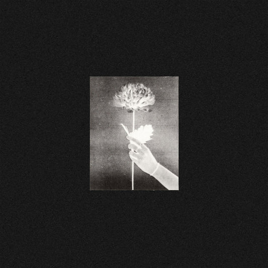 White Flowers : Day By Day (CD, Album)
