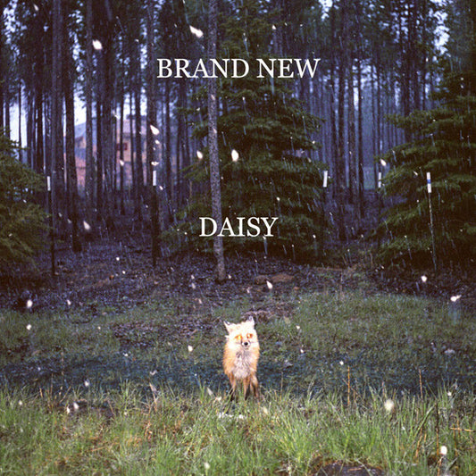 Brand New : Daisy (CD, Album)