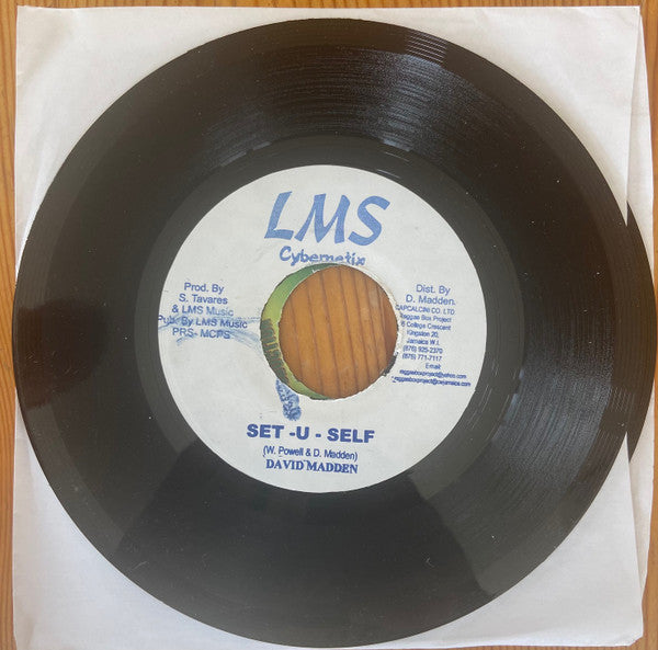 David Madden : Set -U-Self (7")