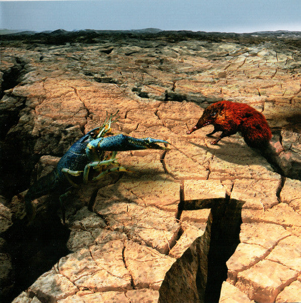 Phideaux : Number Seven (CD, Album)