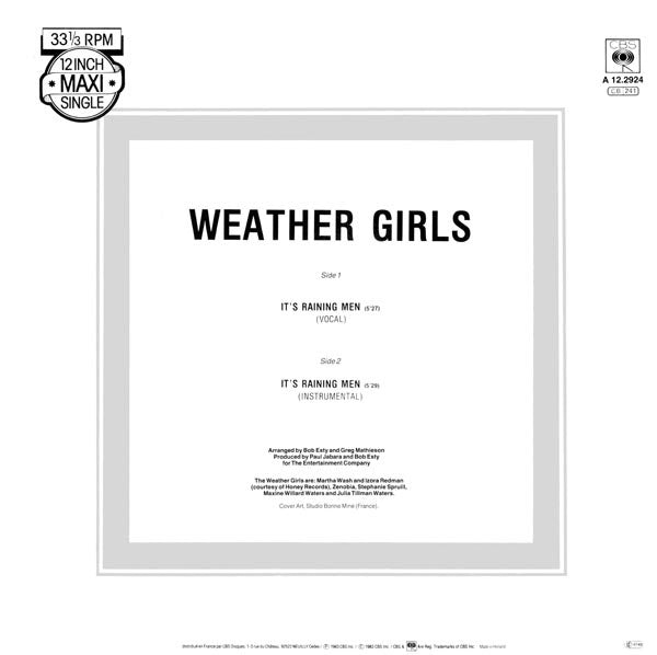 The Weather Girls : It's Raining Men (12", Maxi)
