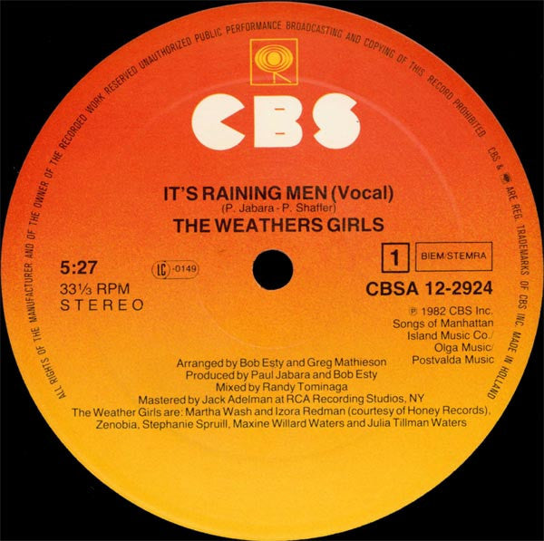 The Weather Girls : It's Raining Men (12", Maxi)