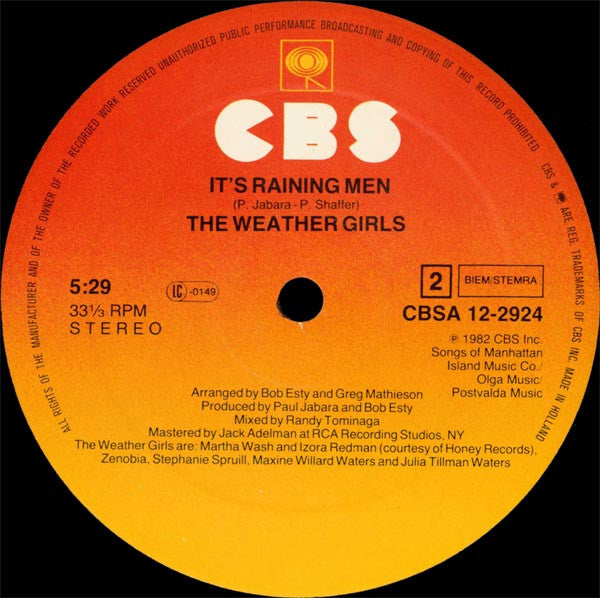 The Weather Girls : It's Raining Men (12", Maxi)