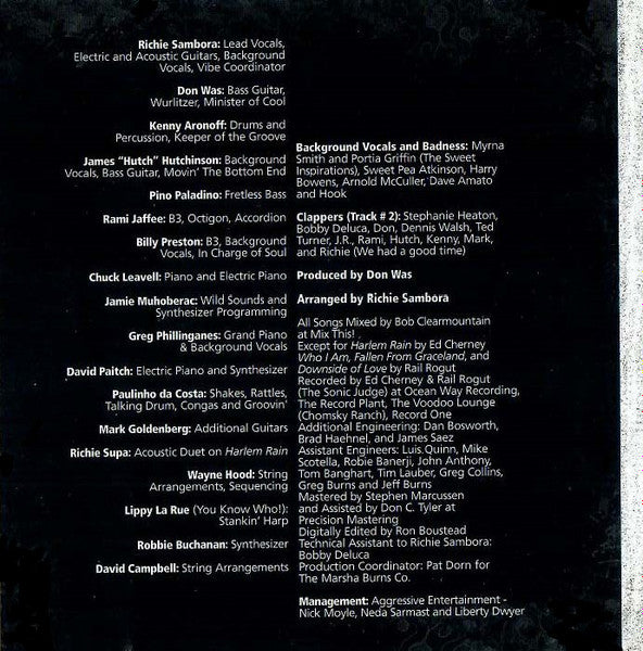 Richie Sambora : Undiscovered Soul (CD, Album)