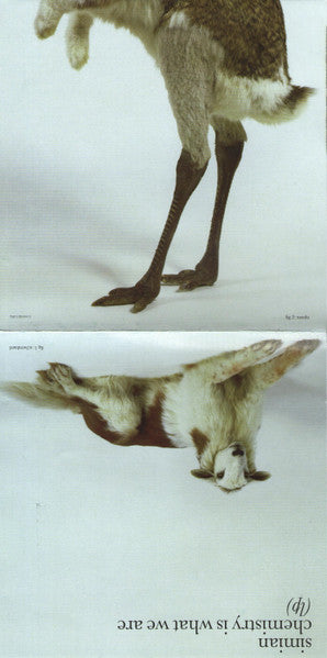 Simian : Chemistry Is What We Are (Lp) (CD, Album)