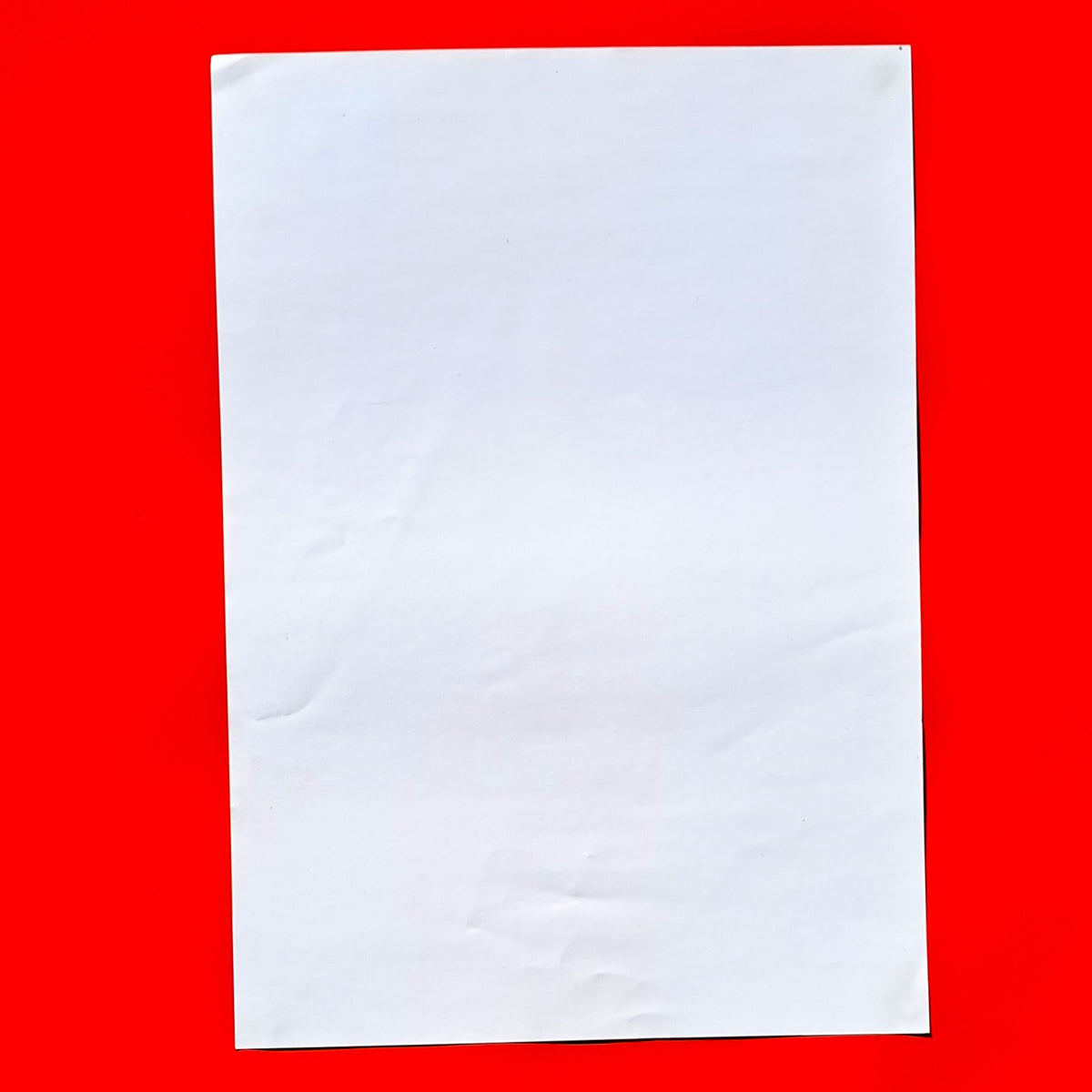 Lunar New Year Fortitude Valley Brisbane A3 Poster – Year of the Dragon 2024