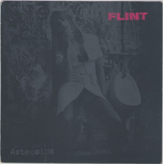 Flint (2) : Asteroids (10", S/Sided, Ltd, Pin)