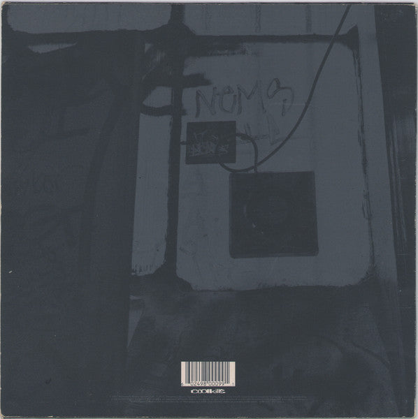 Flint (2) : Asteroids (10", S/Sided, Ltd, Pin)