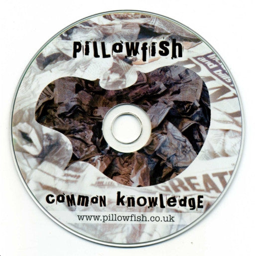 Pillowfish : Common Knowledge (CD, Album)