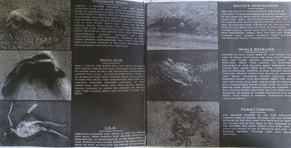 Infliction (2) : And The World We Betrayed..... (CDr, Album)