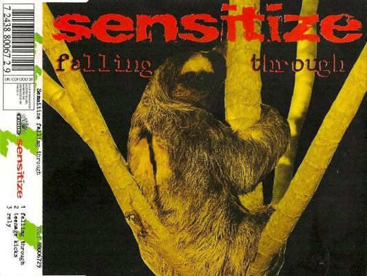 Sensitize (2) : Falling Through (CD, Single)