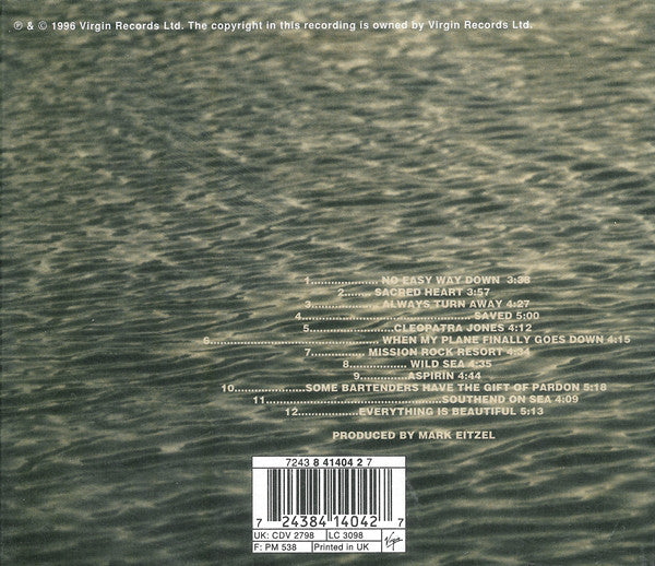 Mark Eitzel : 60 Watt Silver Lining (CD, Album)