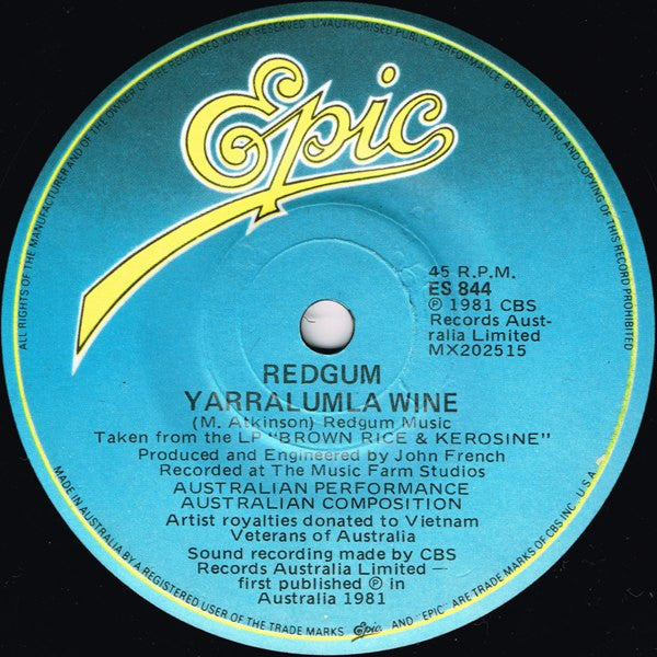 Redgum : I Was Only 19 (A Walk In The Light Green) (7", Single)