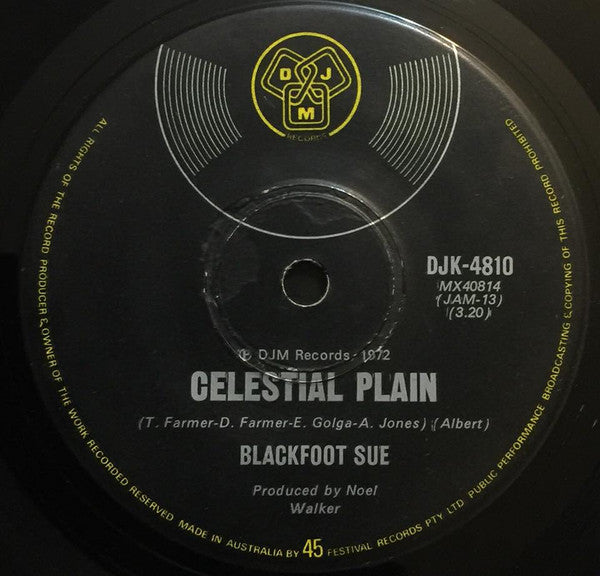 Blackfoot Sue : Standing In The Road (7")