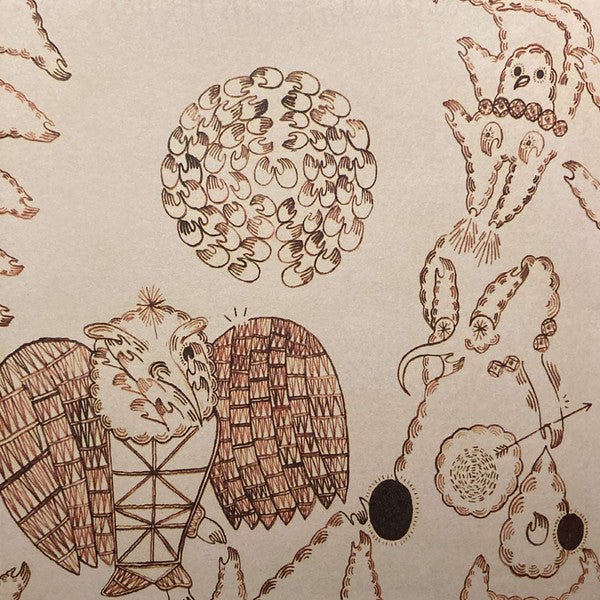 Devendra Banhart : Rejoicing In The Hands (CD, Album)