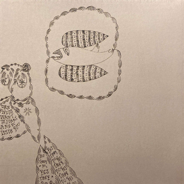 Devendra Banhart : Rejoicing In The Hands (CD, Album)