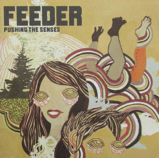 Feeder : Pushing The Senses (CD, Album)