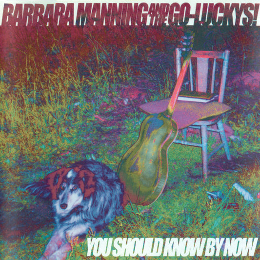 Barbara Manning & The Go-Luckys! : You Should Know By Now (CD, Album)