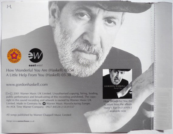 Gordon Haskell : How Wonderful You Are (CD, Single)