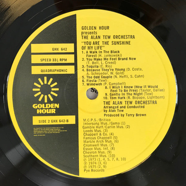 The Alan Tew Orchestra : You Are The Sunshine Of My Life (LP)