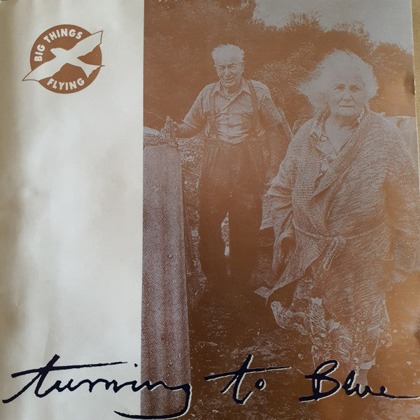 Big Things Flying : Turning To Blue (CD, Album)
