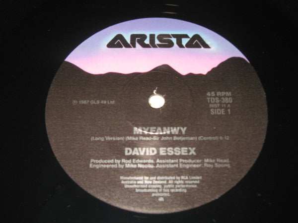 David Essex : Myfanwy (Long Version) (12", Single)