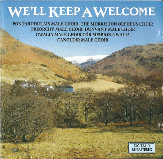 Various : We'll Keep A Welcome (CD, Comp)