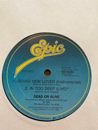 Dead Or Alive : Brand New Lover (The Dust Monkey's Love Bubble Club Mix) (12")