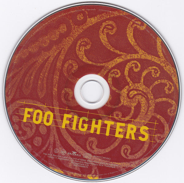 Foo Fighters : Skin And Bones (CD, Album)