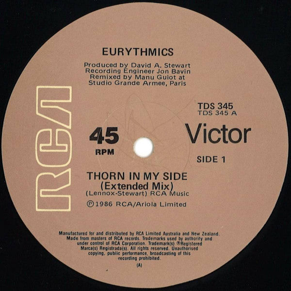 Eurythmics : Thorn In My Side (12", Single)