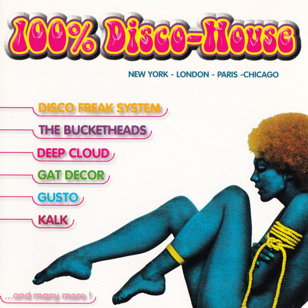 Various : 100 % Disco-House (2xCD, Comp)