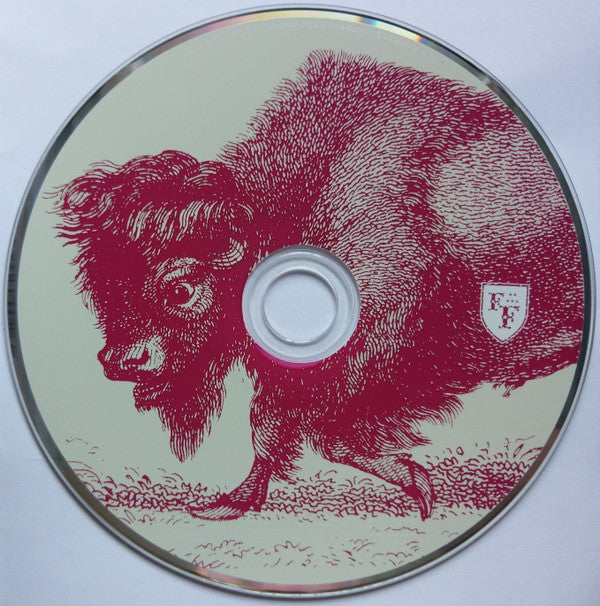 Foo Fighters : In Your Honor (2xCD, Album)