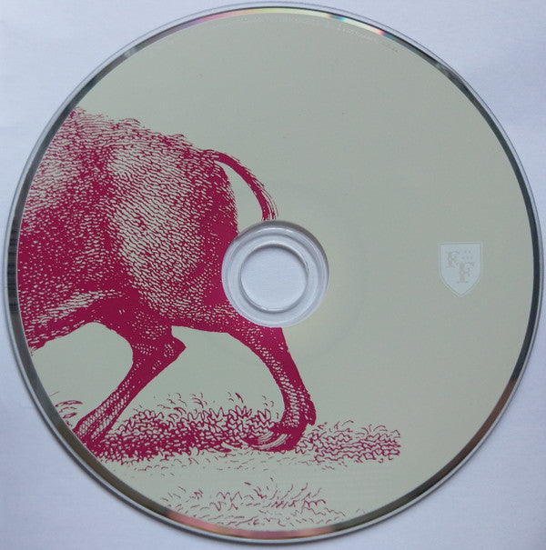 Foo Fighters : In Your Honor (2xCD, Album)