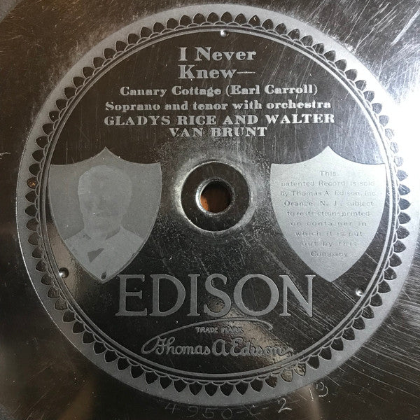 Gladys Rice, Walter Van Brunt : Pretty Baby / I Never Knew (Canary Cottage) (Edison Disc)