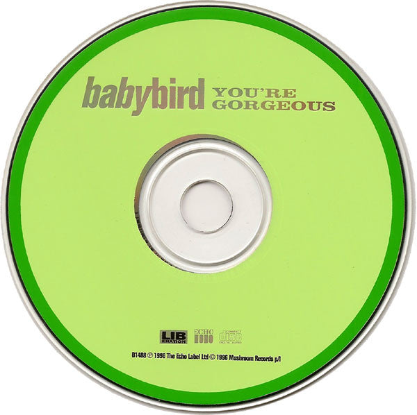 Babybird : You're Gorgeous (CD, Single)