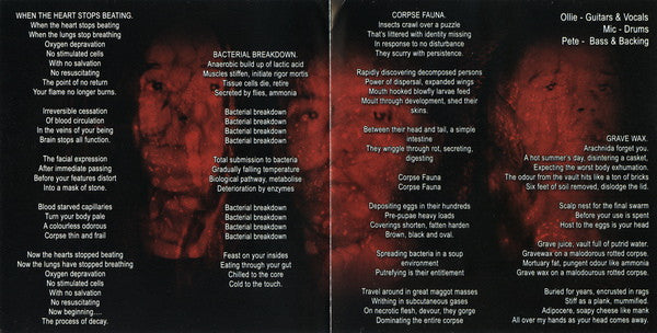 Desecration : Process Of Decay (CD, Album)