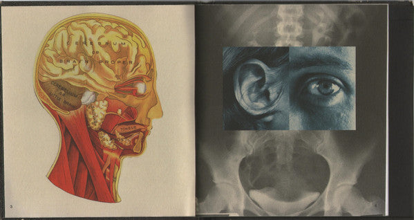 Pearl Jam : Vitalogy (CD, Album)