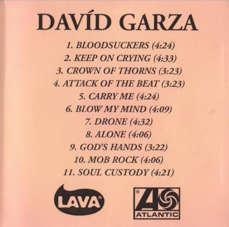 David Garza : David Garza (CDr, Advance, Promo)