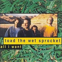 Toad The Wet Sprocket : All I Want (CD, Single)