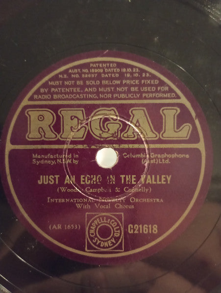 International Novelty Orchestra : Just An Echo In The Valley / Rose Dreams (Shellac, 10")