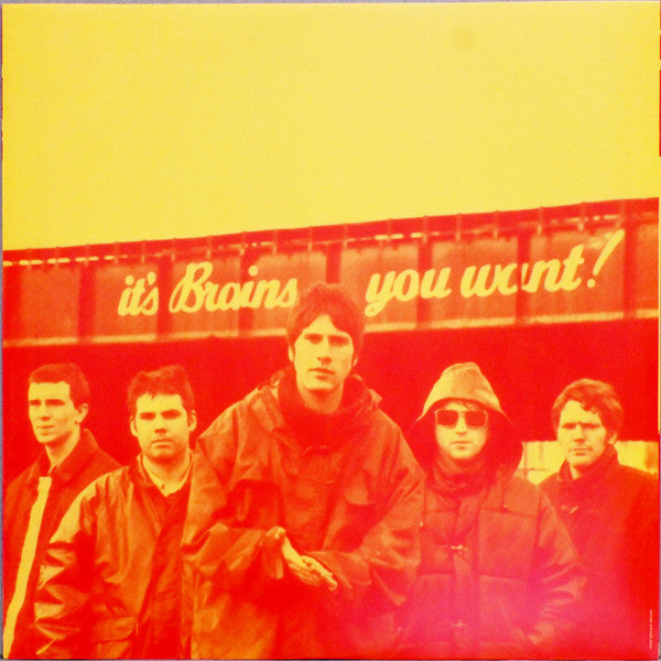 Super Furry Animals : Fuzzy Logic B-Sides And Besides (LP, RSD, Comp, Ltd, Gre)