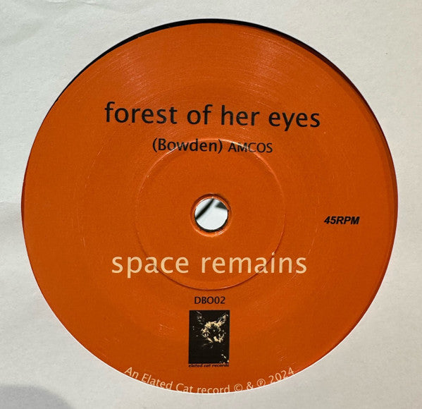 Space Remains : Stars (7", Single)