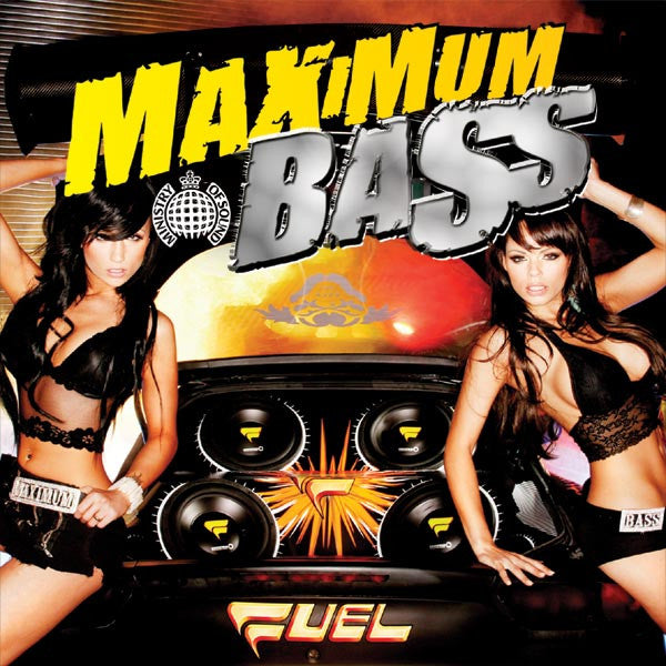 Various : Maximum Bass (2xCD, Mixed)