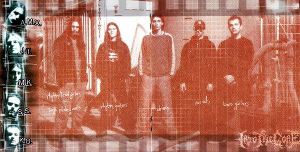 Into The Gore : Pain Must Be Amplified (CD, Album)