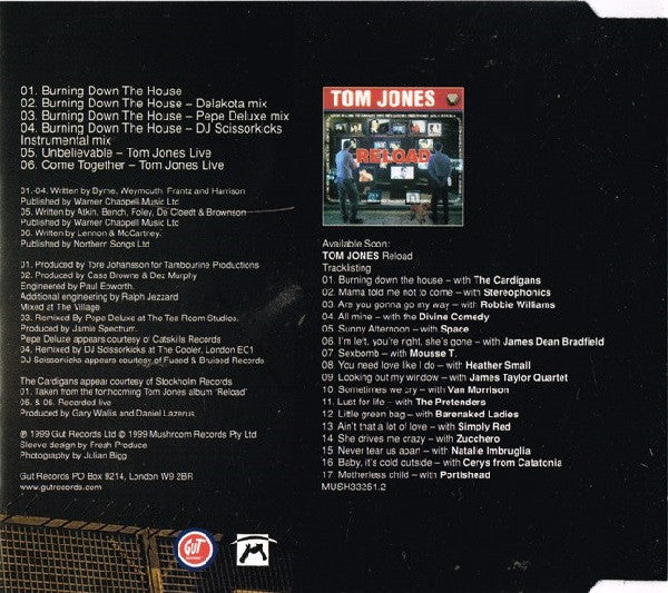 Tom Jones And The Cardigans : Burning Down The House (CD, Single)