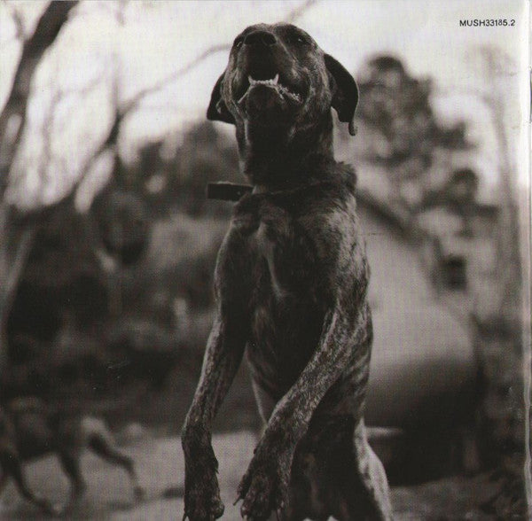 Everlast : Whitey Ford Sings The Blues (CD, Album)