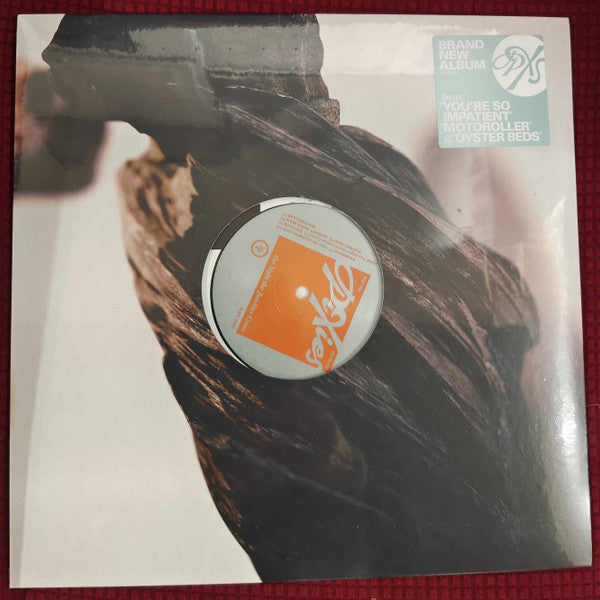 Pixies : The Night The Zombies Came (LP, Album)