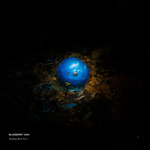 Andrew Butt Trio +* : Blueberry Ash (CD, Album)