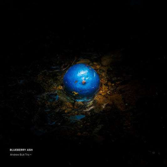 Andrew Butt Trio +* : Blueberry Ash (CD, Album)